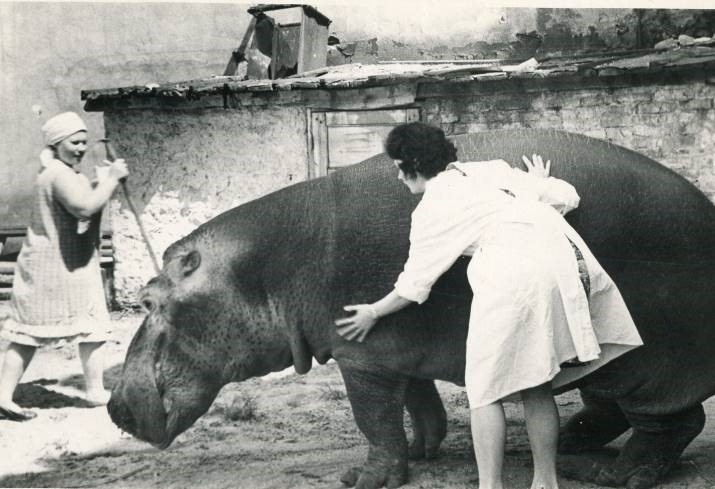 Второй день рождения зоопарка