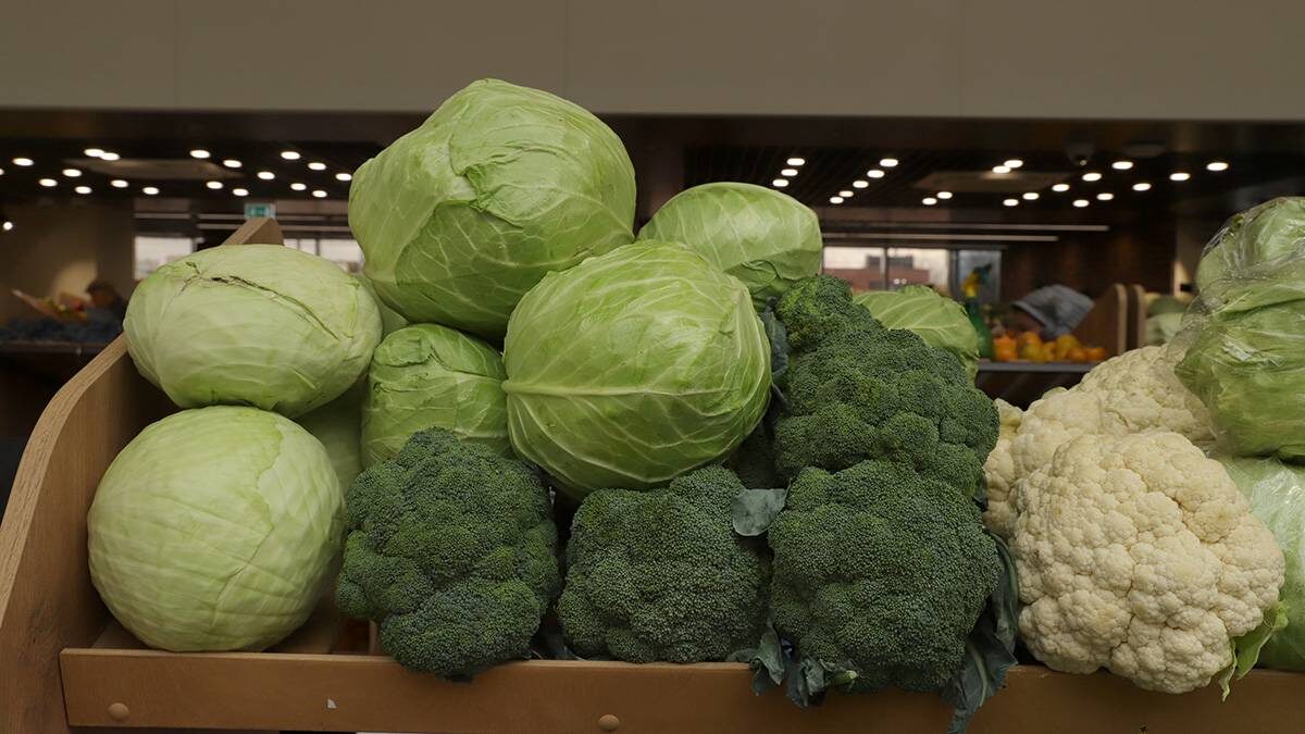    Фото: Анатолий Цымбалюк / Вечерняя Москва