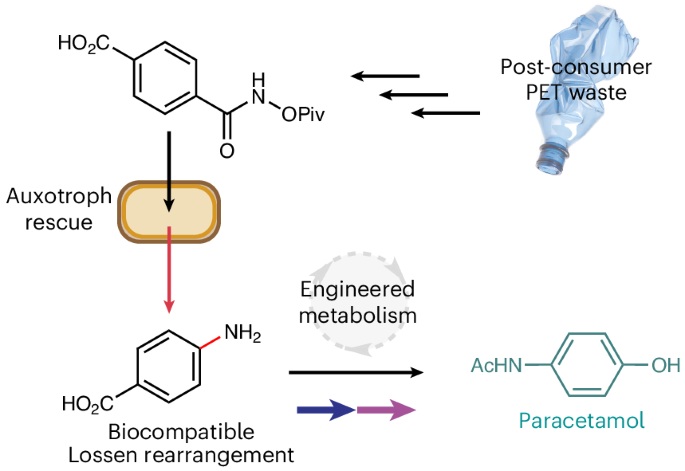 © Nick W. Johnson et. al./Nature Chemistry