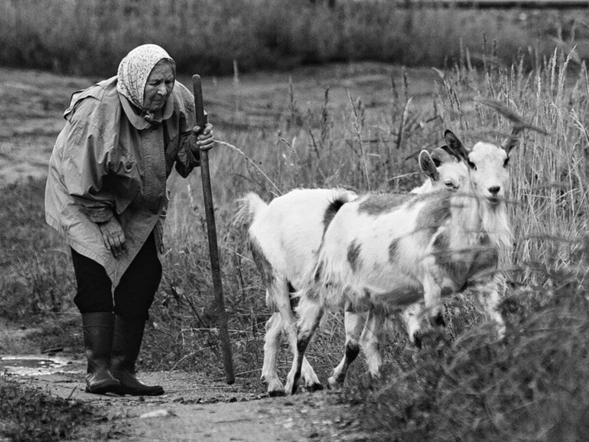 Фото из открытых источников