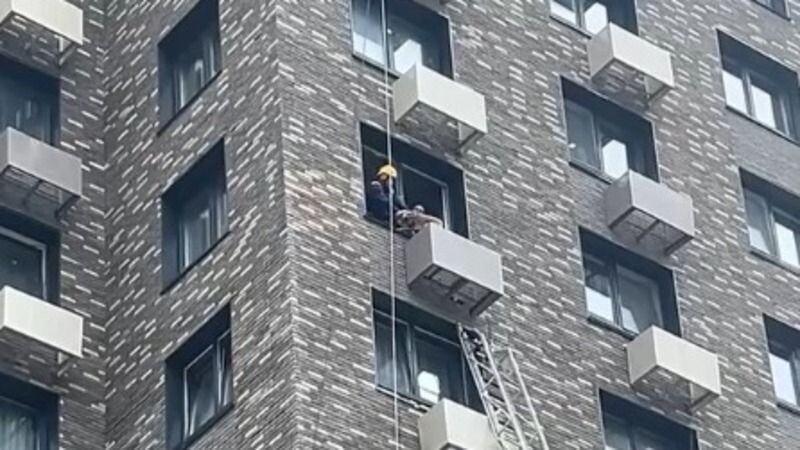     / Источник: © кадр из видео