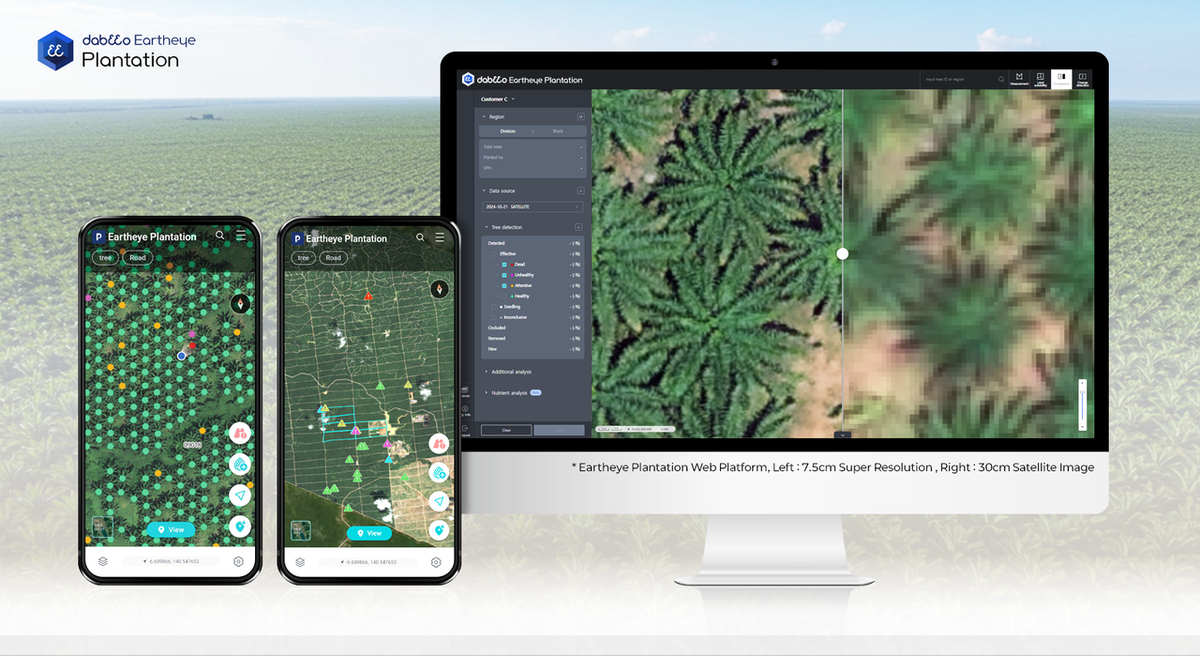 Компания Dabeeo планирует запустить интегрированную веб- и мобильную платформу Eartheye Plantation в июле этого года (Dabeeo)