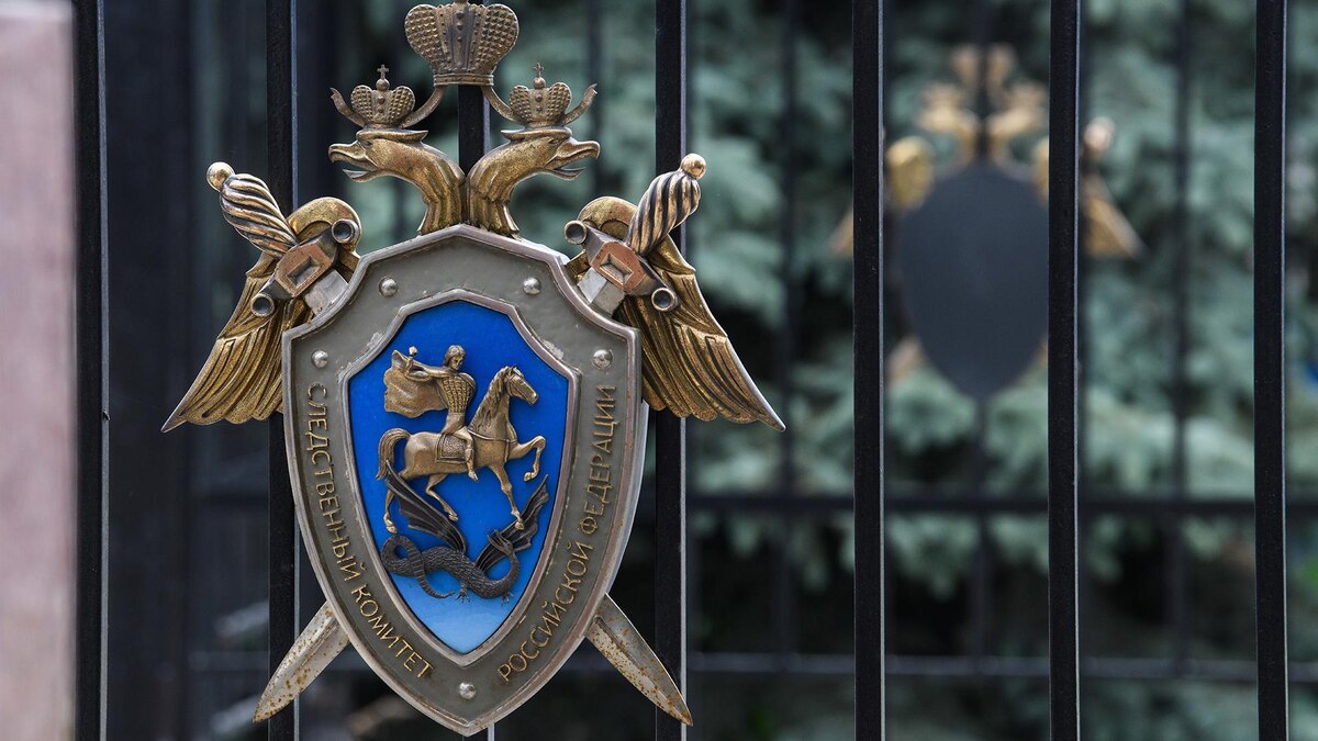    Фото: Ilya Moskovets/globallookpress.com