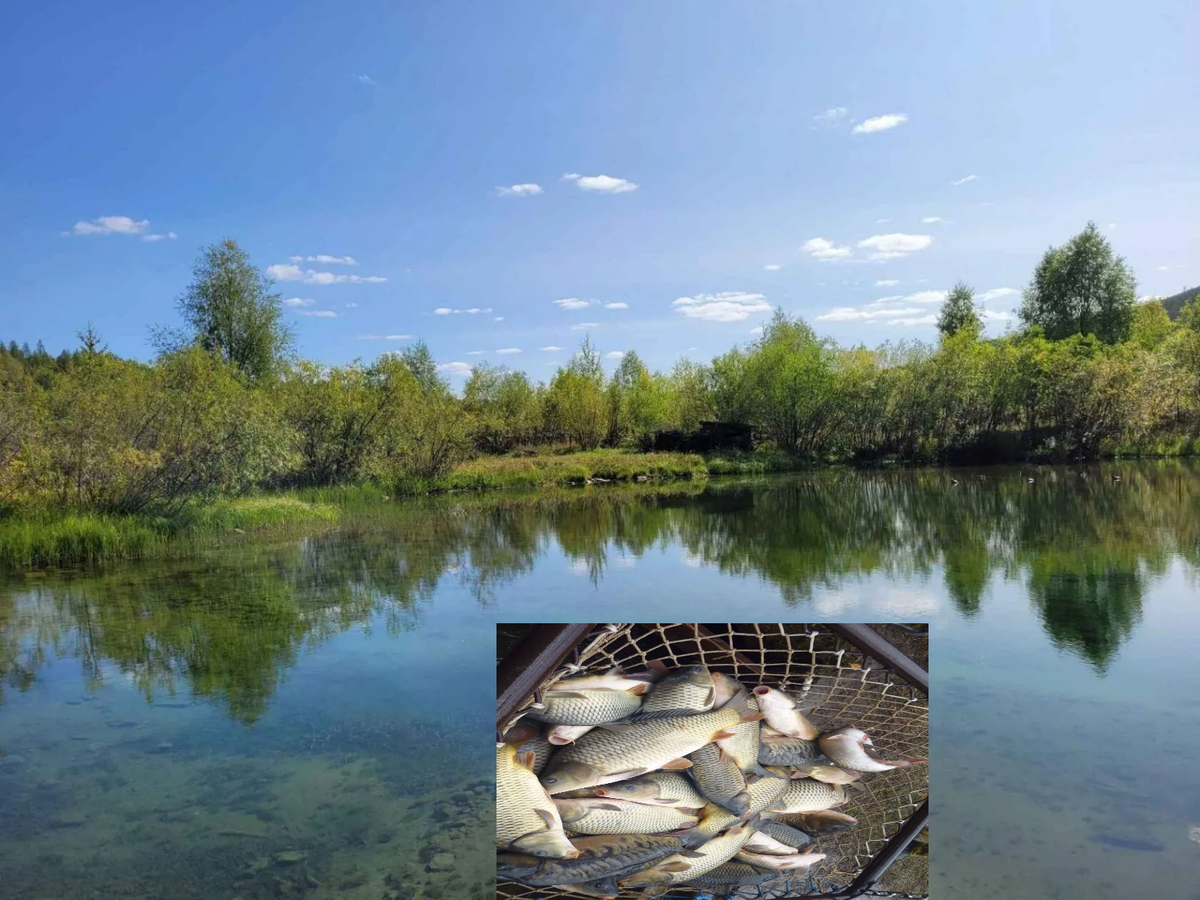 Из открытых источников 