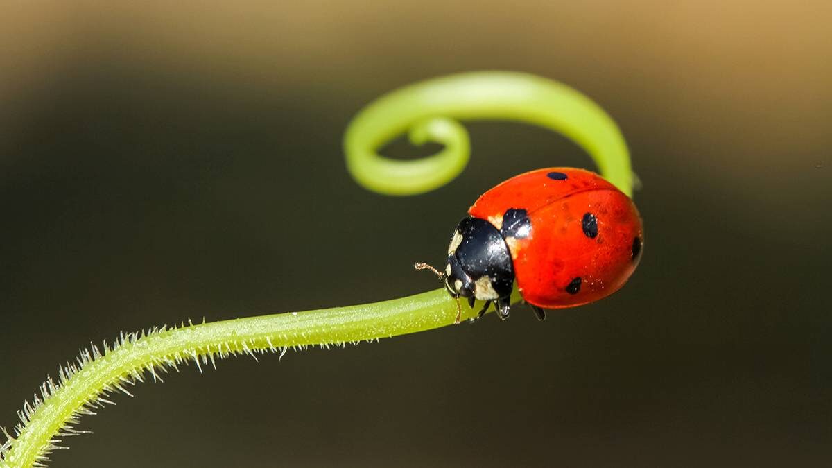    Фото: Shutterstock