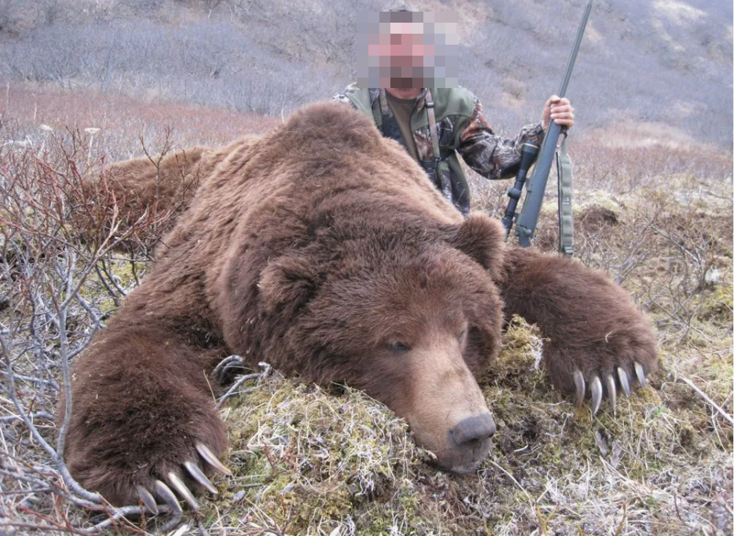 Трофеи после охоты