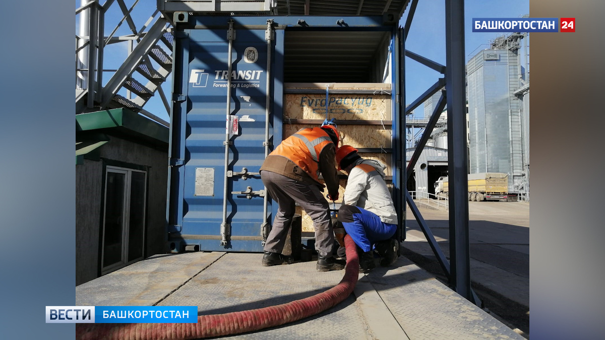    Башкортостан увеличил поставки рапсового масла в Китай