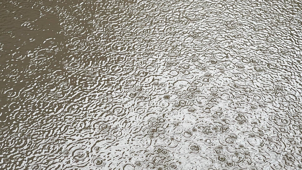 Фото: Игорь Елисеев / Коммерсантъ