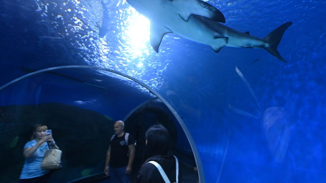    Komsomolskaya Pravda/Globallookpress