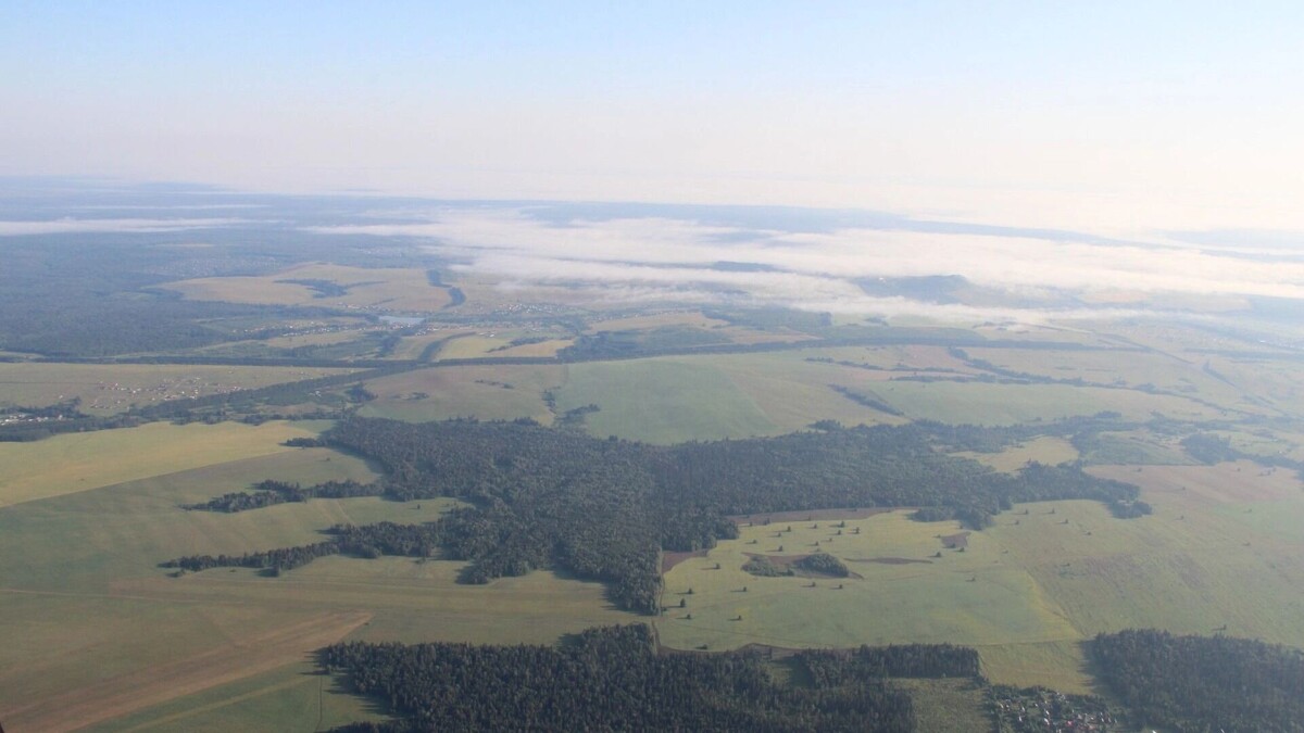     Источник: 1MI