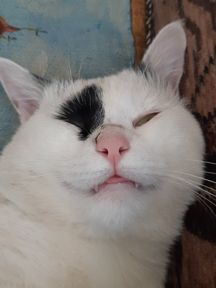 А бабушка так в больнице лежит?