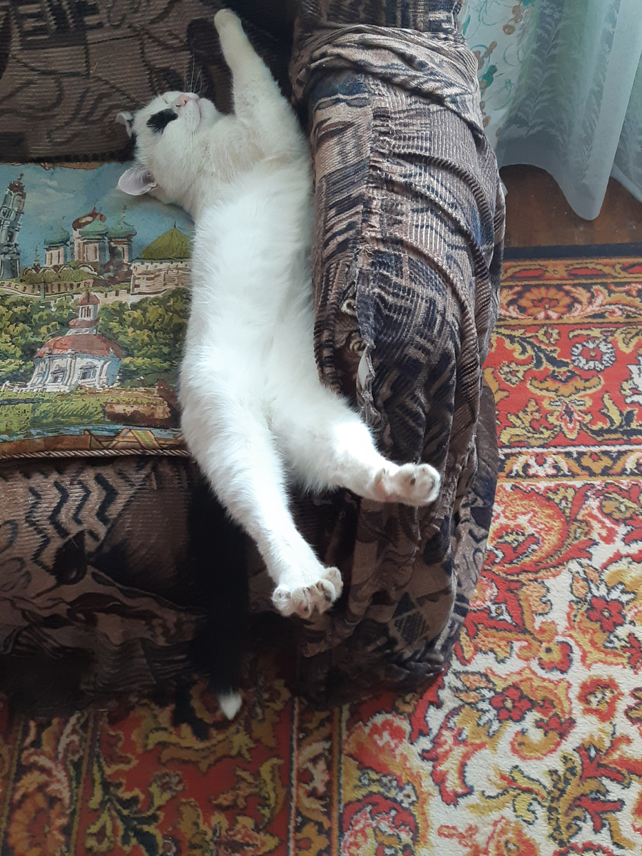 Делай рраз!