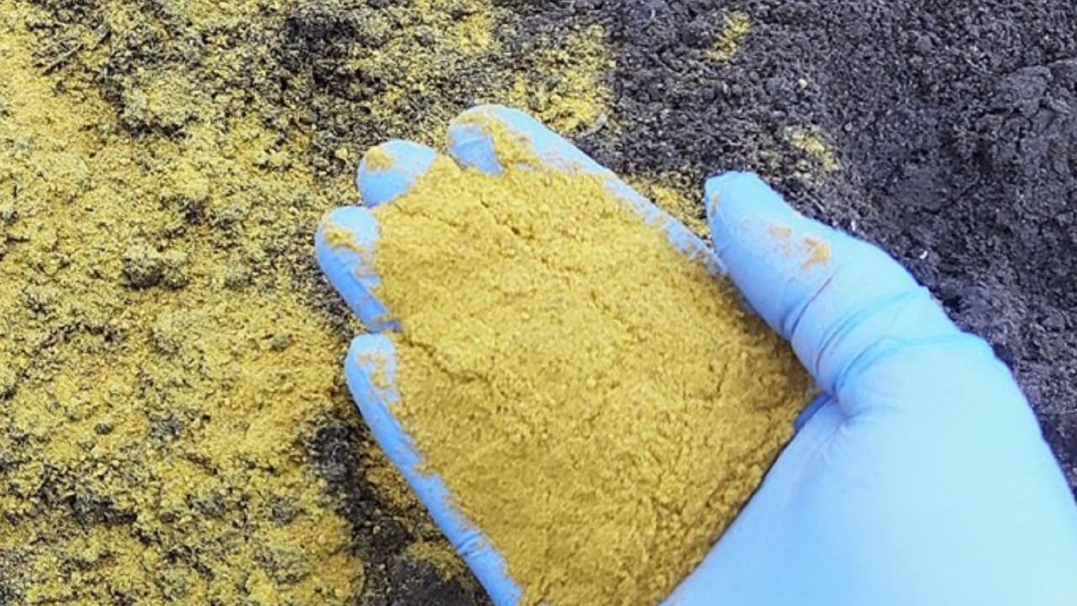 Яндекс картинки