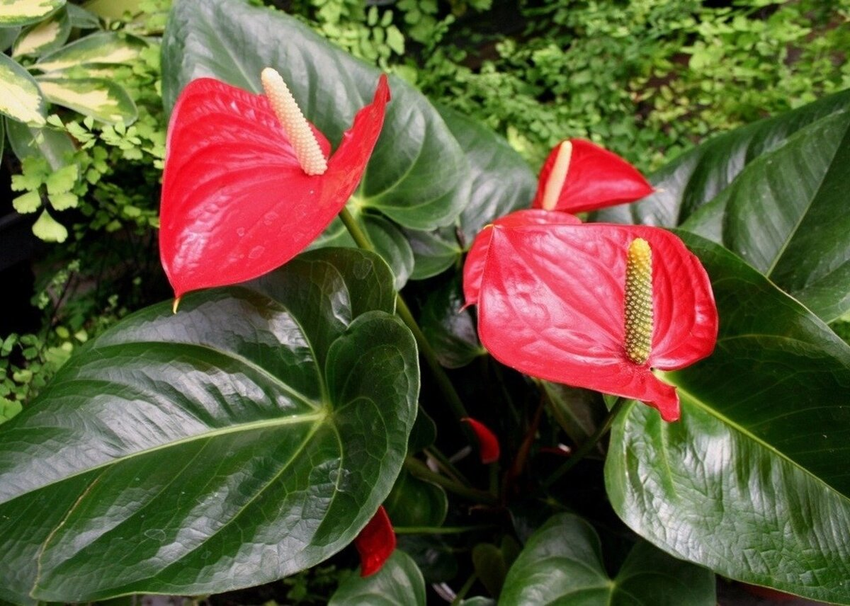 *подпись к фотографии зацензурена*