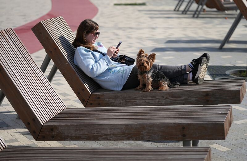     / Источник: © ИЗВЕСТИЯ/Дмитрий Коротаев