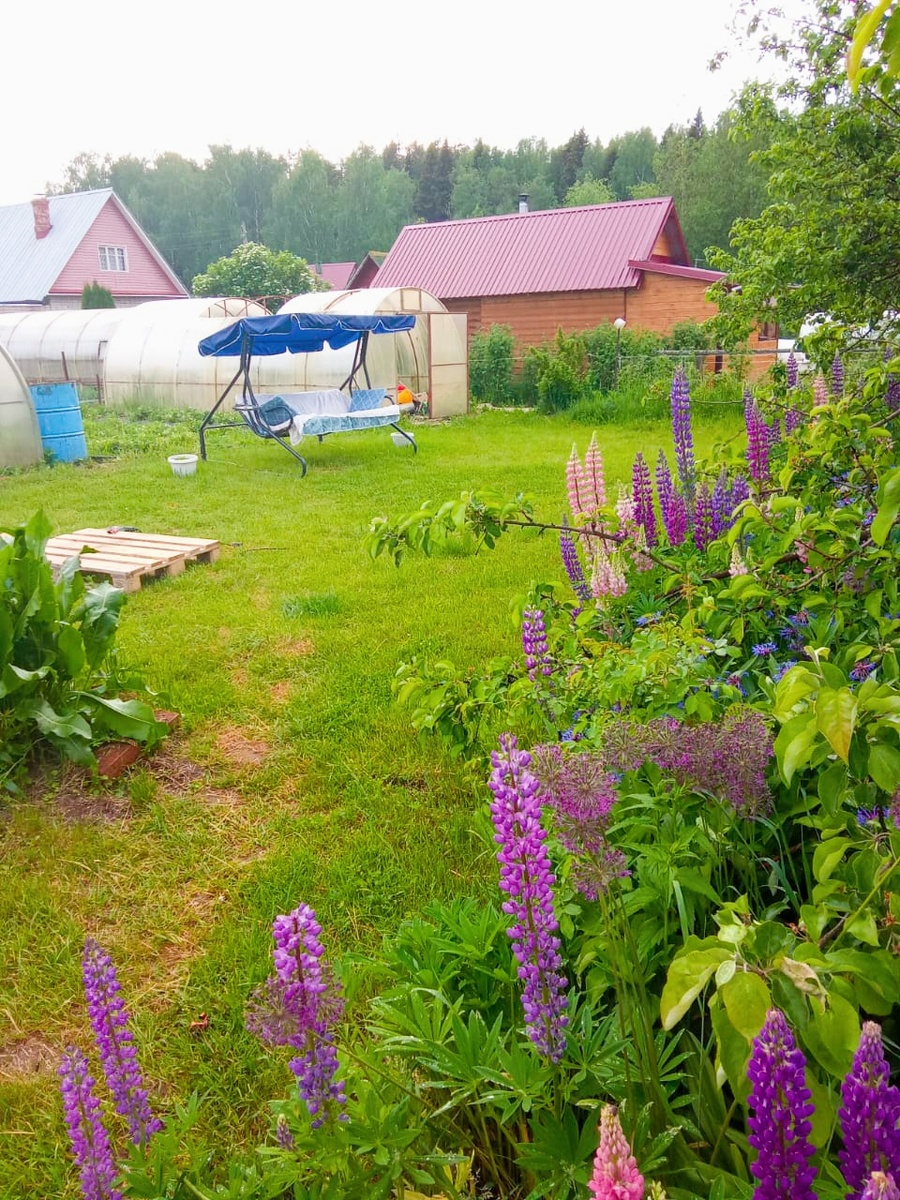 Дачный участок. 