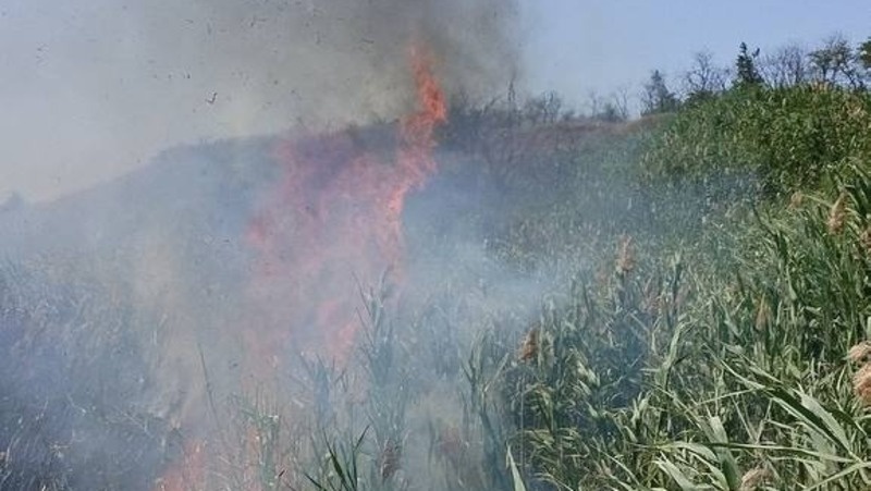      Фото: ПАСС СК