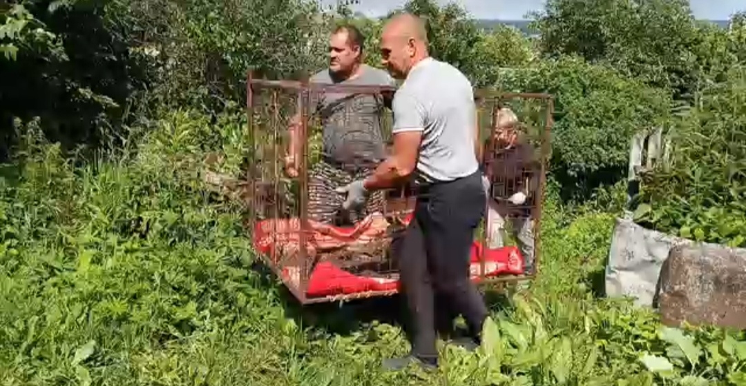 Помощь подоспела поздно .