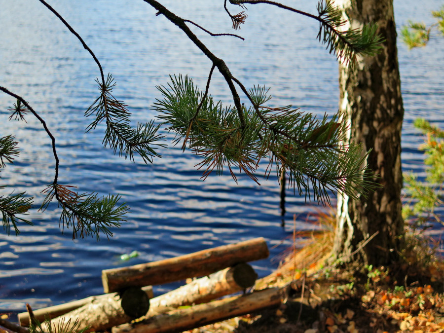 фото с просторов интернета