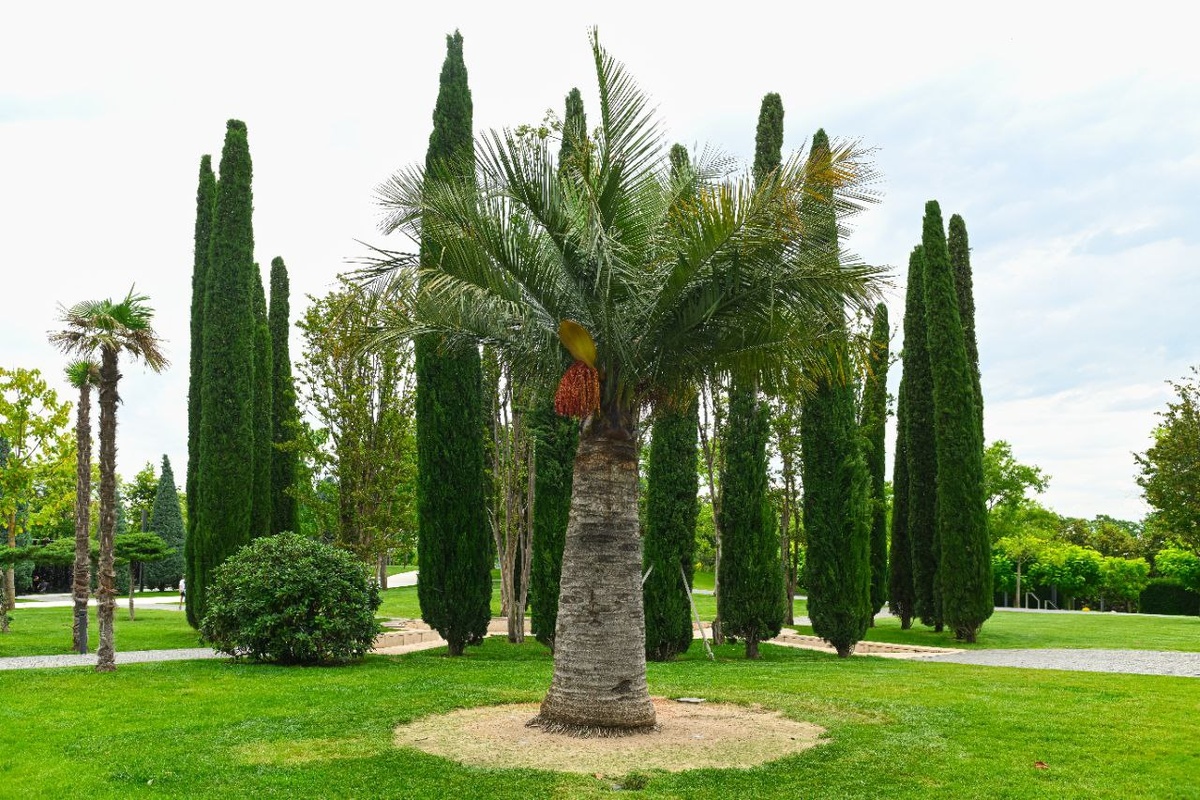 Фото: телеграм-канал Парк «Краснодар»