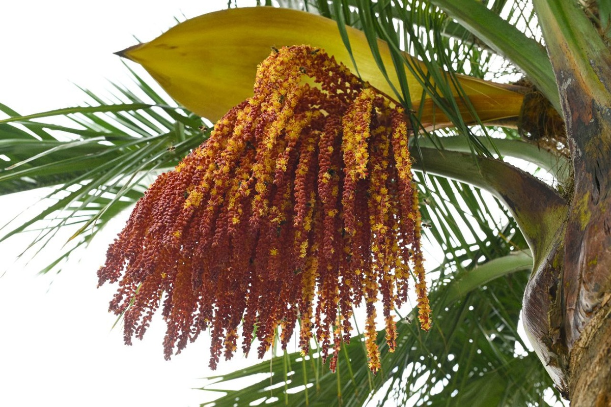 Фото: телеграм-канал Парк «Краснодар»