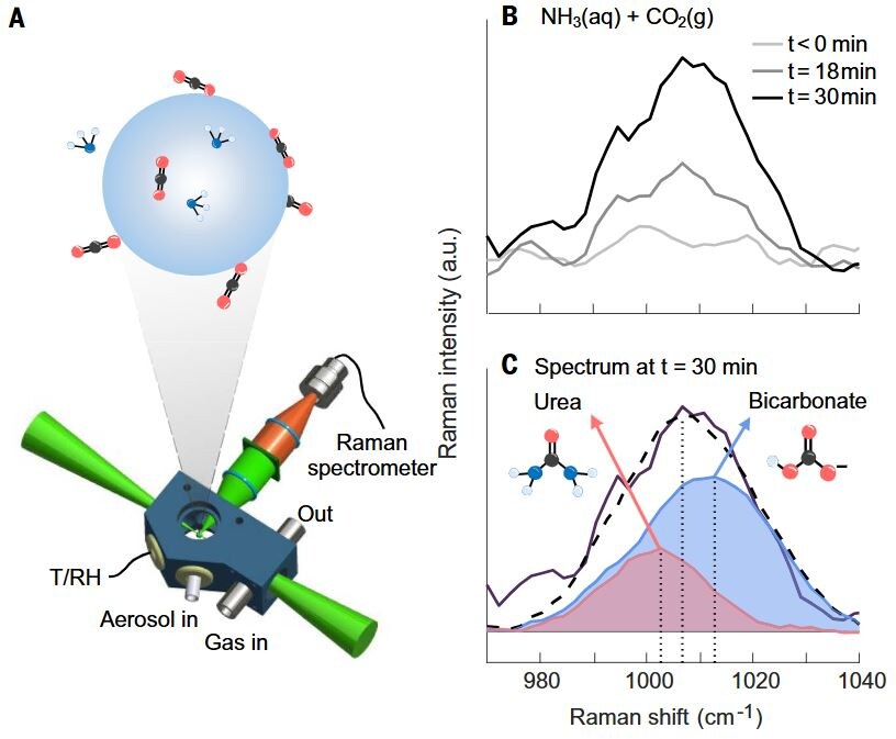   Mercede Azizbaig Mohajer et al. / Science, 2025