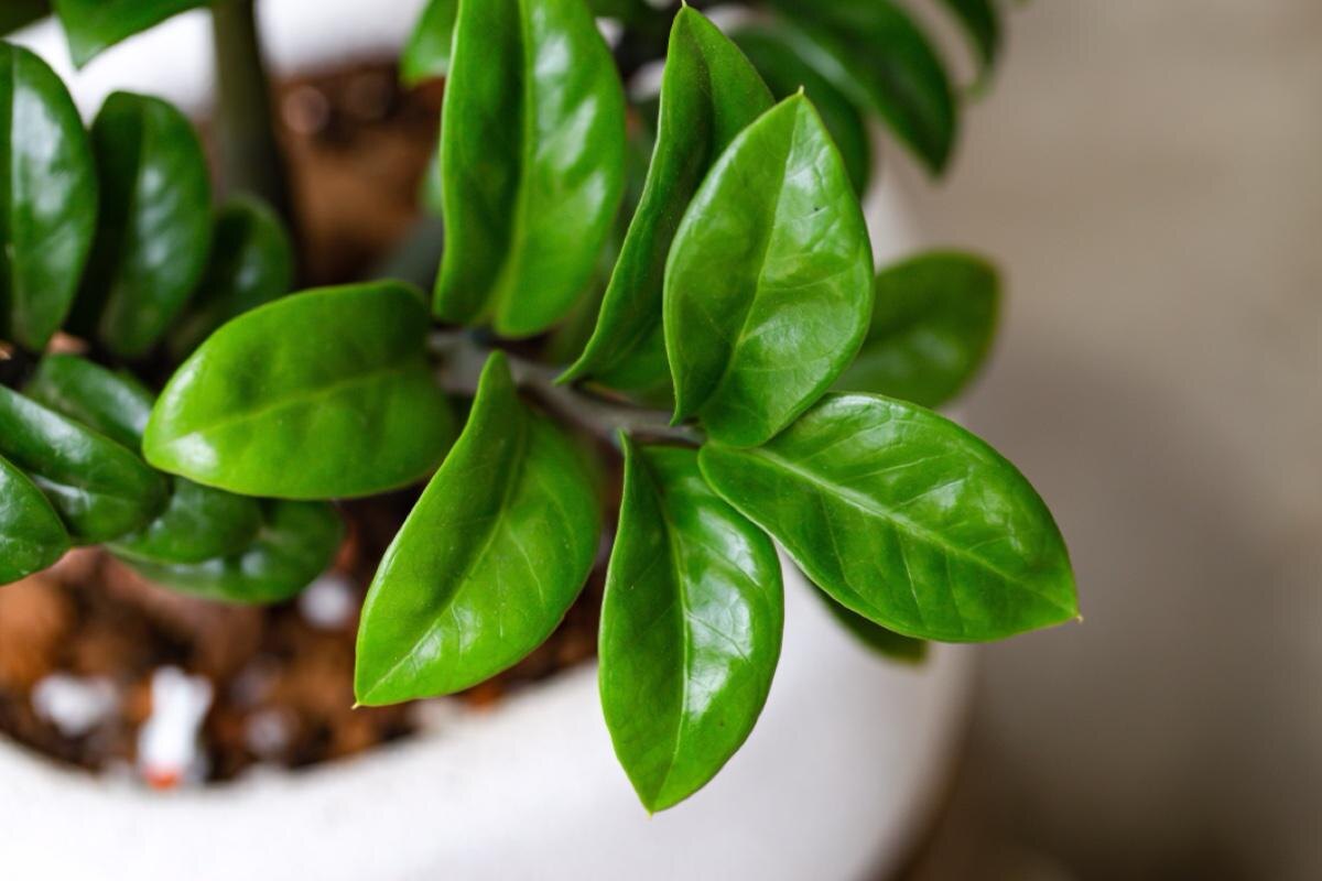    Rum Chuchaisangrat / Shuttersock / FOTODOM