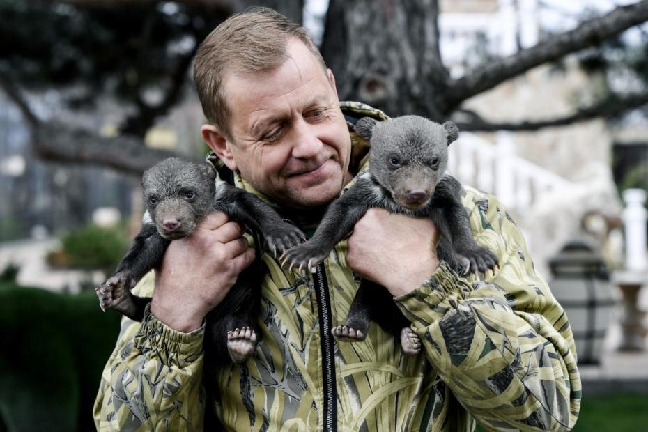    Константин Михальчевский/РИА Новости