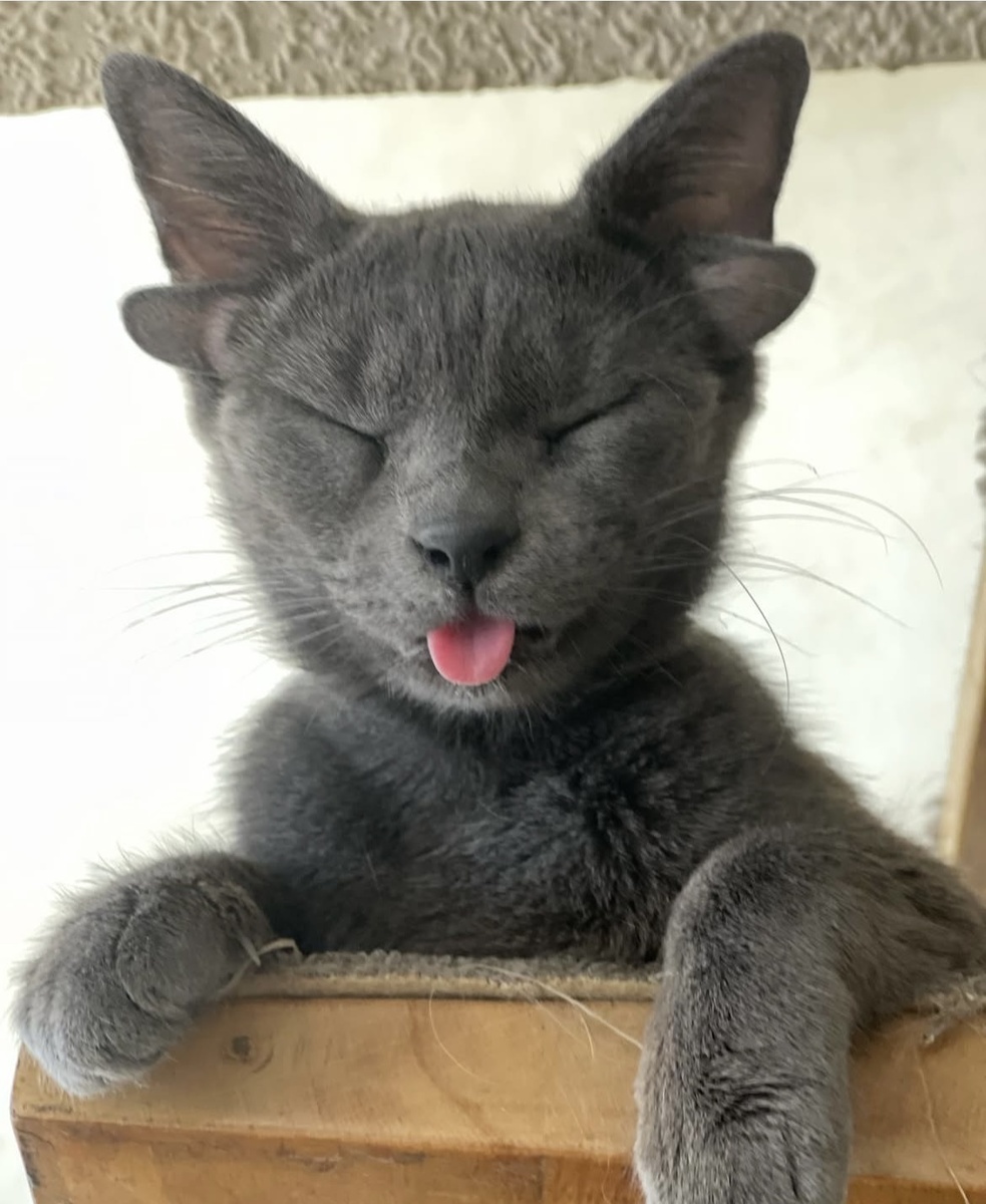 Фото Pinterest.com