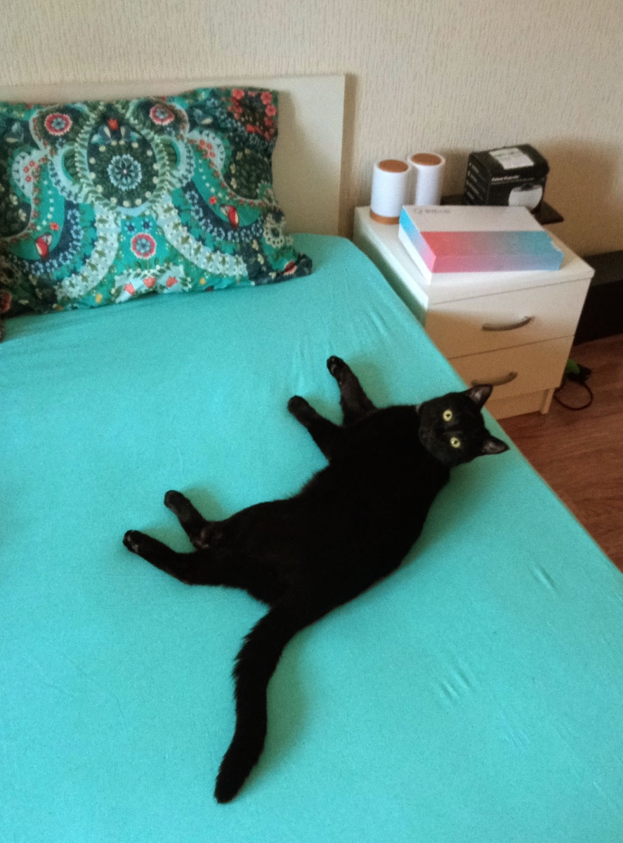 Всегда первым валится на чистую простыню