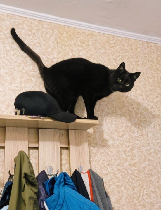 Поспал, поел, можно и поскакать по полкам