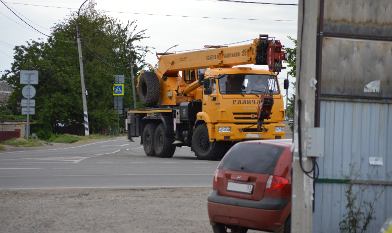 Фото автора. Июнь 2025. В нашем деле главным является надёжно спрятаться, уступая дорогу тяжеловесам. 