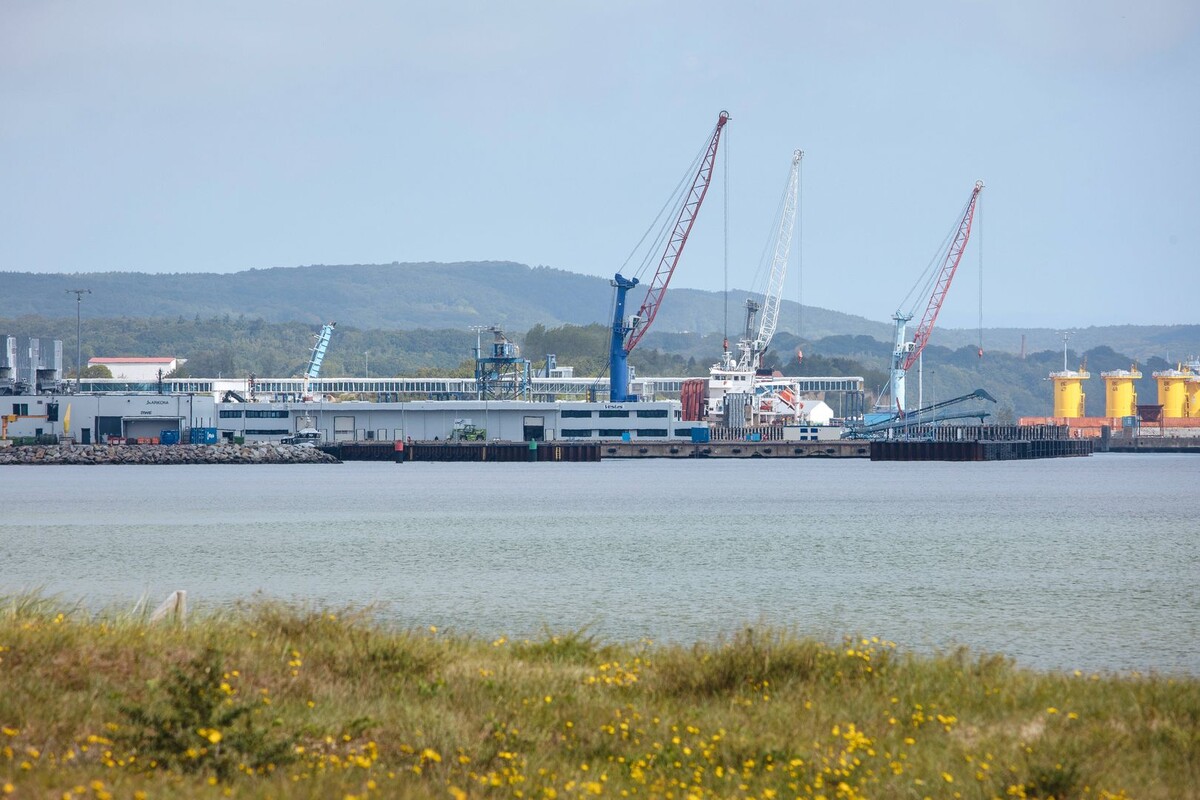     / Источник: ©TASS / IMAGO/Dirk Sattler