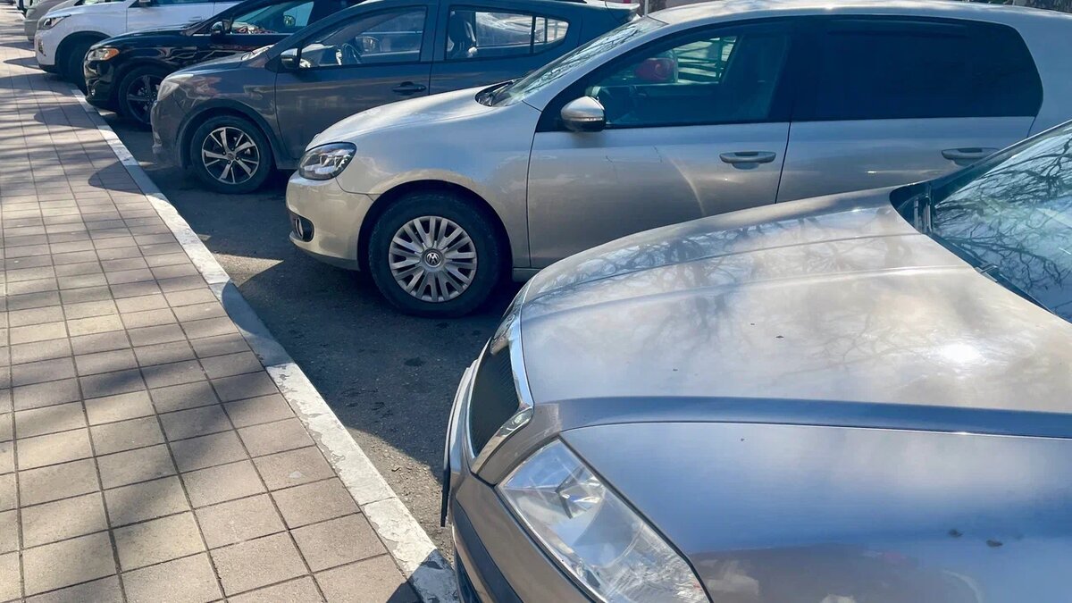 Фото: Утренний Юг