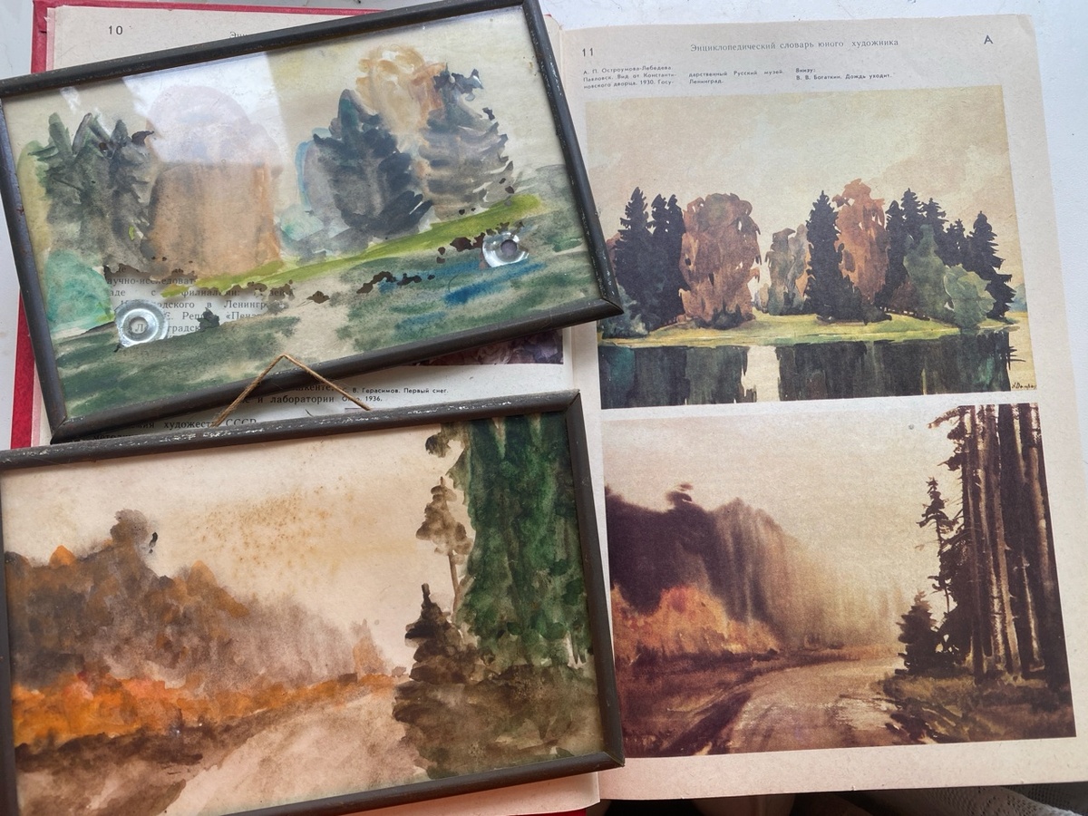 Книга и акварели до сих пор живут в доме. Тонкая дешевая бумага местами окислилась, но картинки до сих пор живы. 