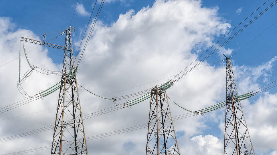 Фото: Олег Харсеев / Коммерсантъ