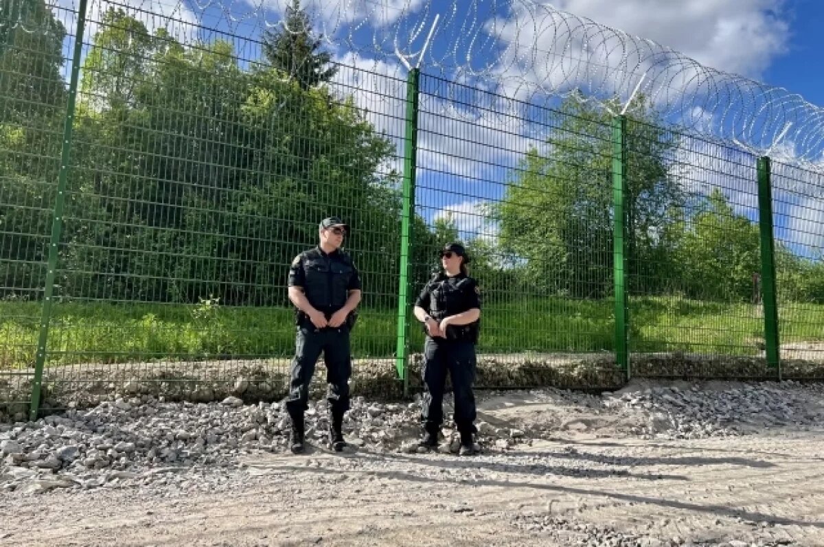    Европейский парламент дал разрешение Финляндии закрыть границу с Россией