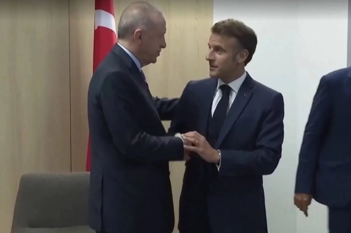    Профайлер Анищенко: Макрон испугался, когда Эрдоган схватил его за руку