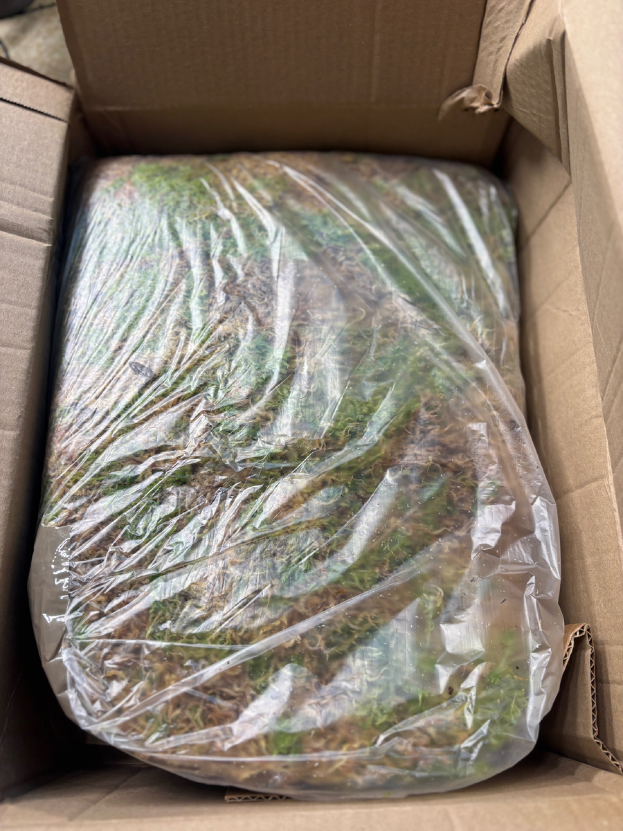 Я не понимала, как 15 литров поместились в такой небольшой коробке.