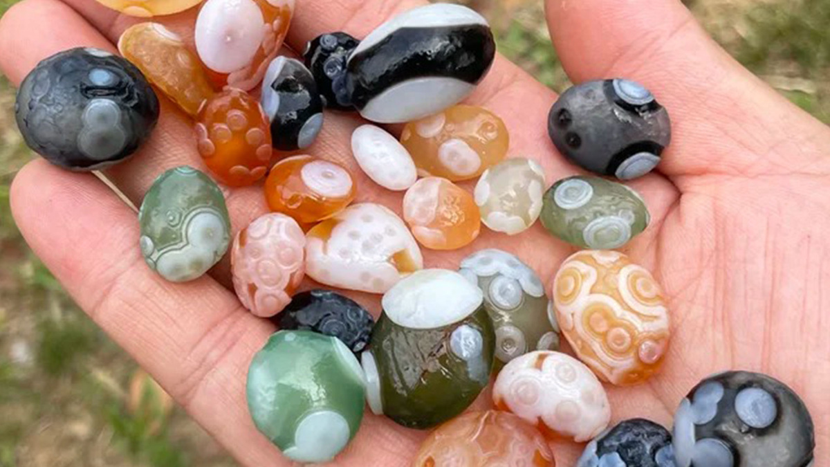 Будто гости с другой планеты