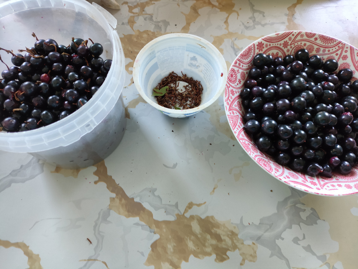 Сижу, перебираю...