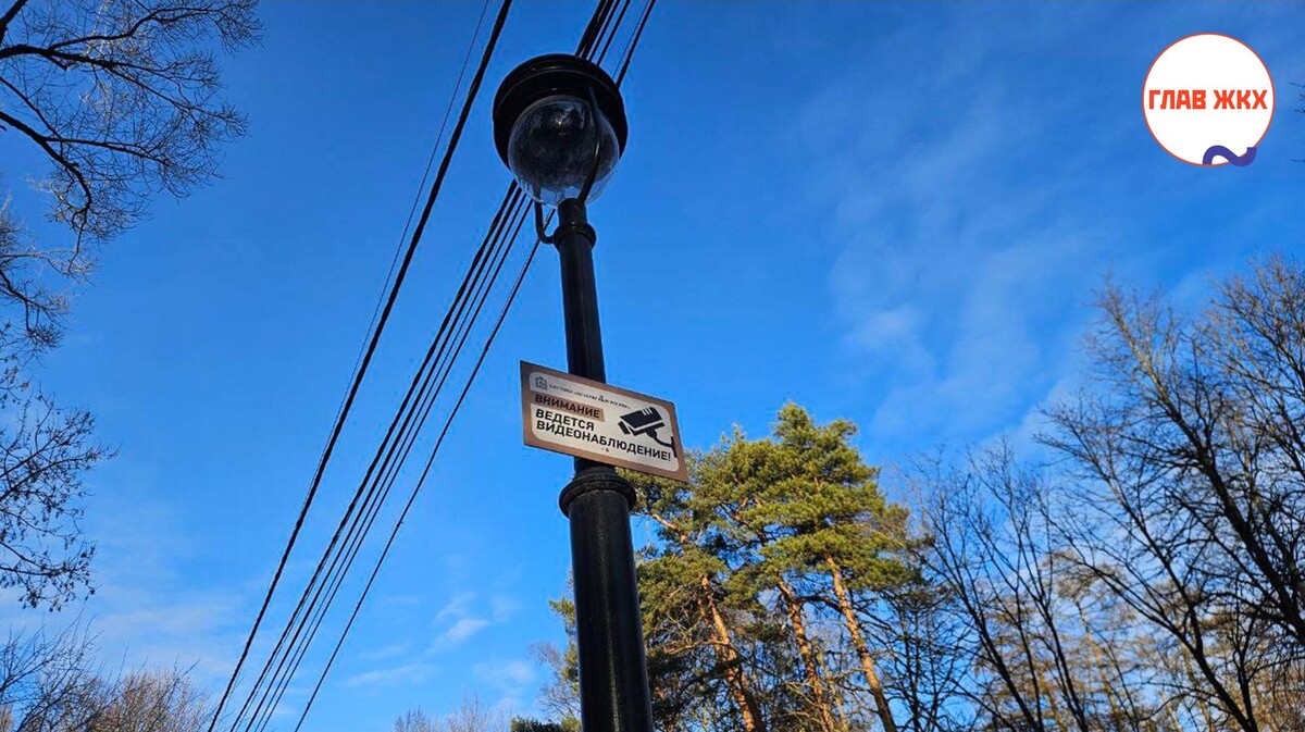 В июне в Московской области оштрафовано 600 нарушителей правил парковки
