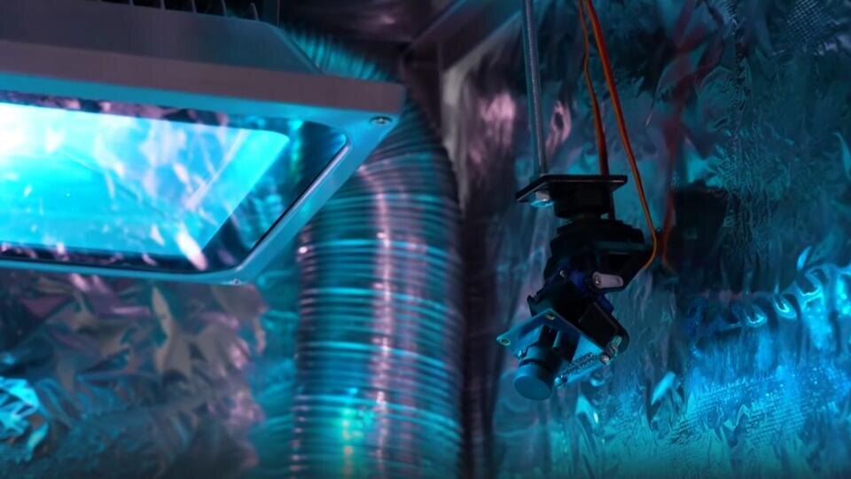 Фото: © Кадр из программы "Наука и техника", РЕН ТВ