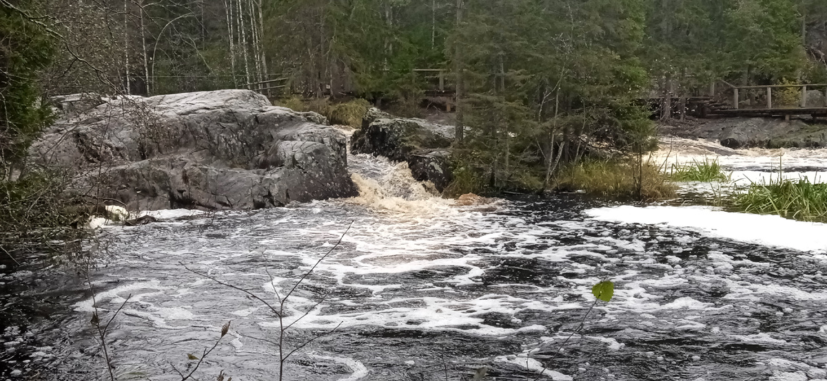 Водопыды на реке Тохмайоки. Здесь есть еще фото