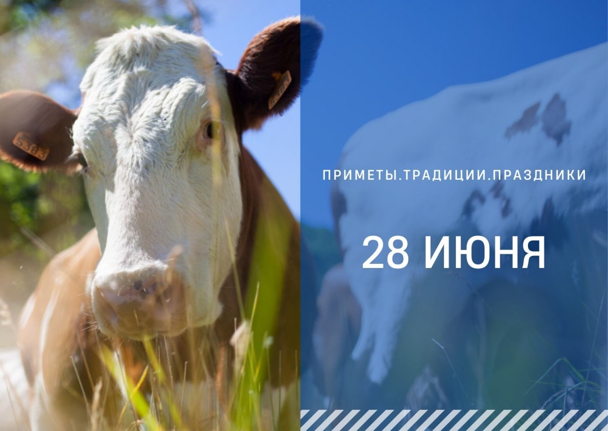   ГТРК "Ставрополье"