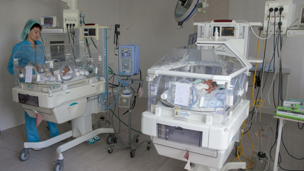    Фото: Nikolay Gyngazov/Globallookpress