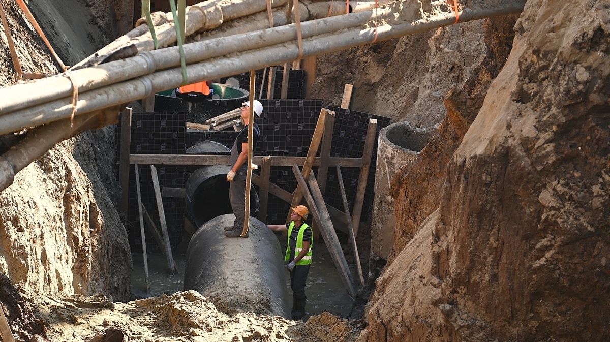 Фото: Андрей Зубов