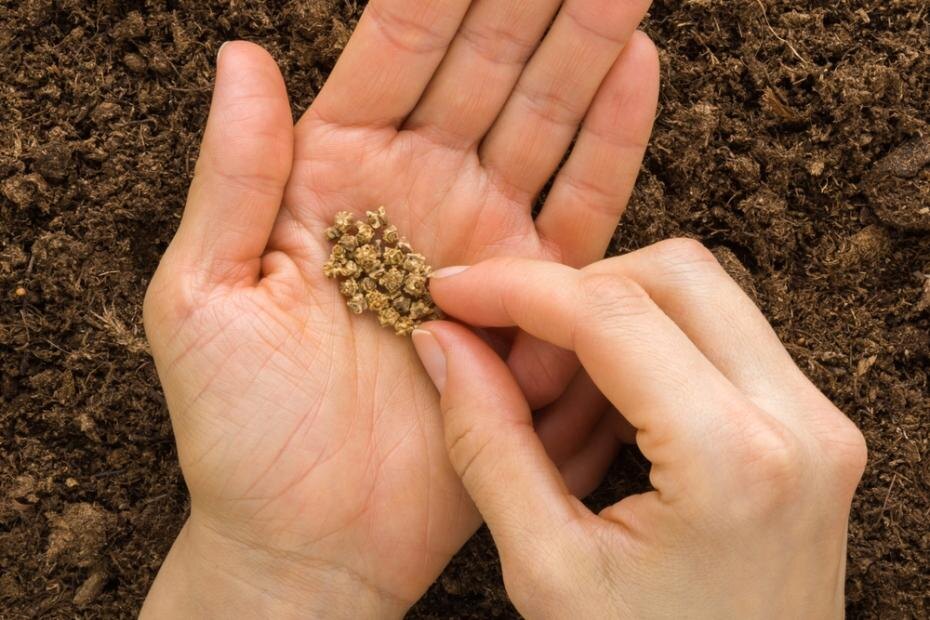    Shutterstock/FOTODOM