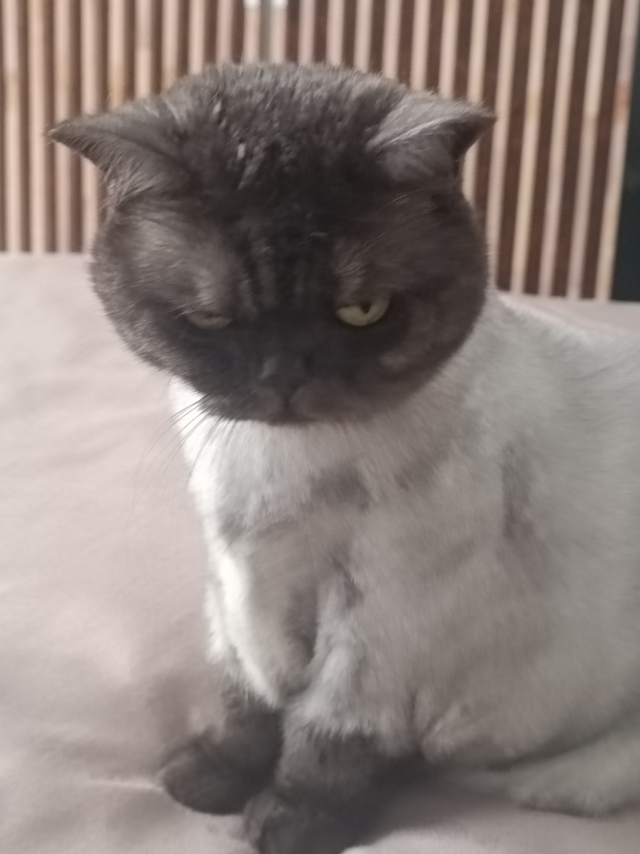 Примерно с таким сосредоточенным видом🤣🤣