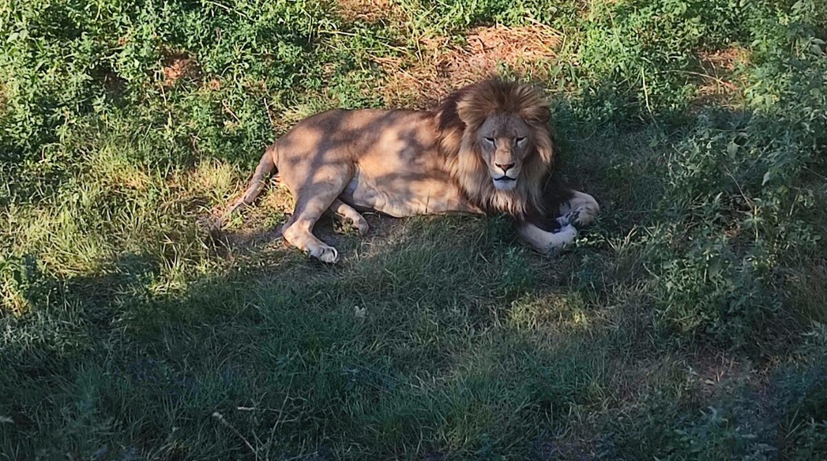 Фото: Юлия Захарова